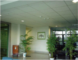 Mineral Ceiling Tiles